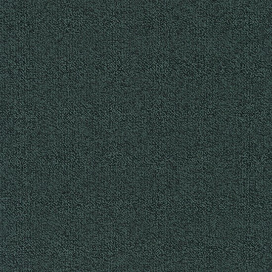  03 Millennium Nxtgen